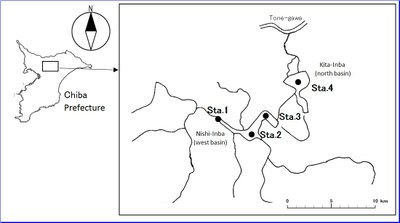 fig1.jpg