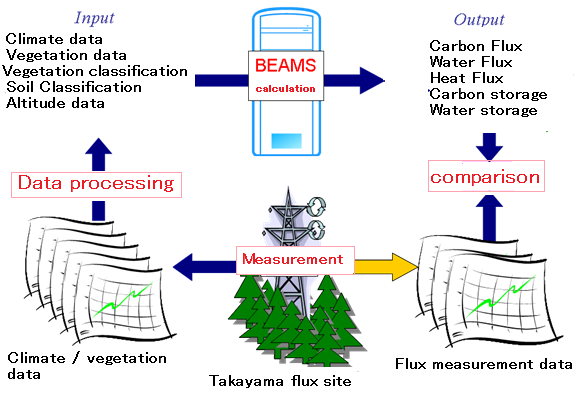 BEAMS constructure