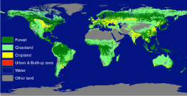 衛星画像を利用した全球土地被覆図