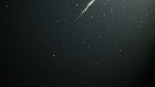 図2　最深部の水深200ｍで観測された巨大粒子