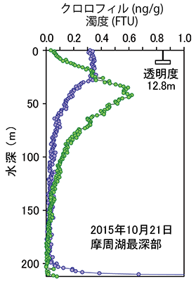 図2　2015年10月のクロロフィルと濁度の深さ分布