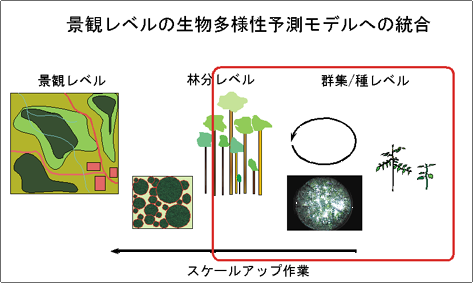 景観レベルの生物多様性予測モデルへの統合