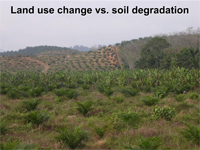 land use change vs soil degradation