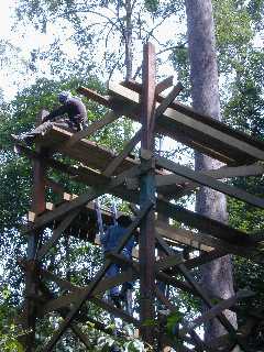 Worker constructing the wooden tower at about 8 meter height