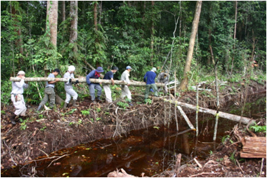 Preparation for peat-swamp forest study in Sumatra