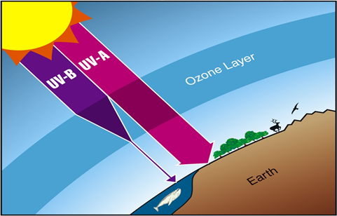図4 オゾン層による紫外線の防御