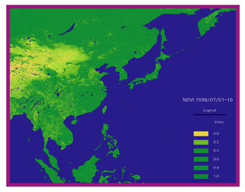 リモートセンシングによる東アジア地域の植生状況モニタリング