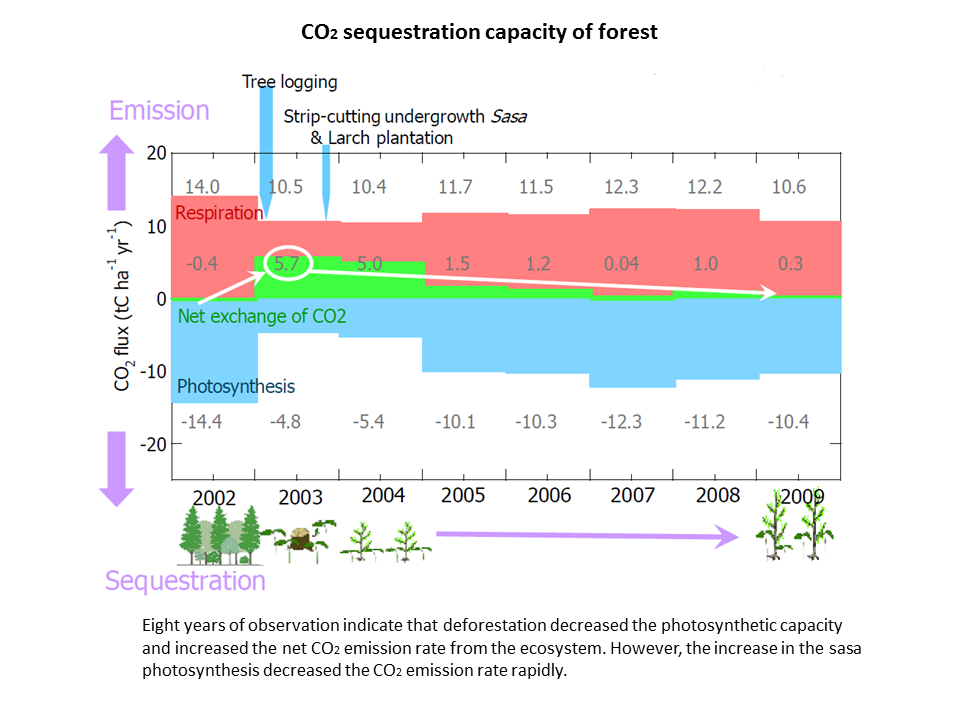 CO2sequestration
