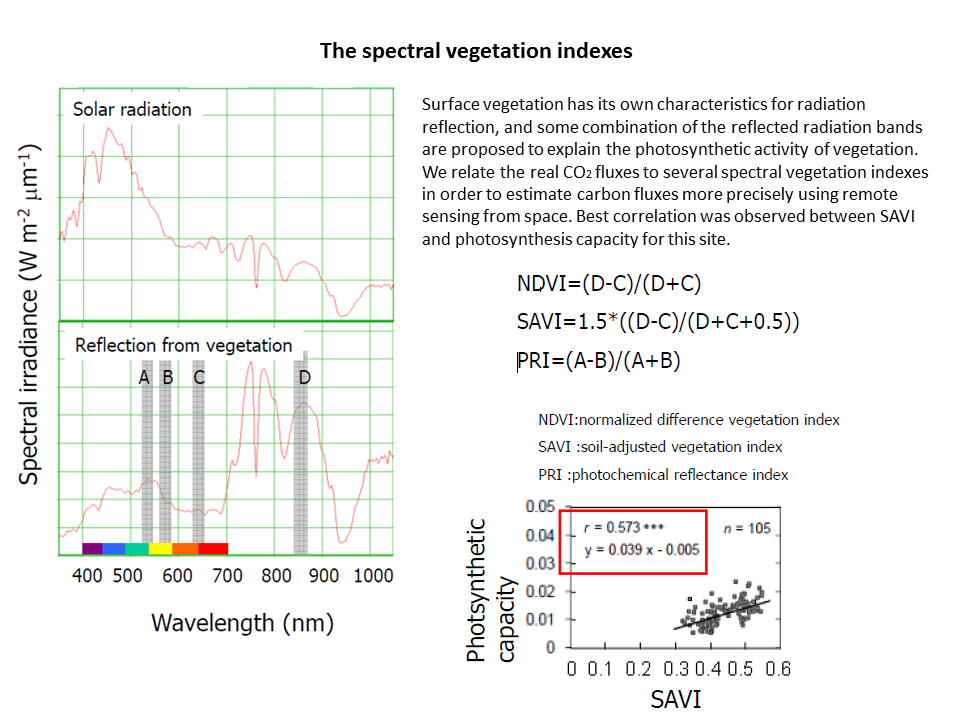 The spectral vegetation indexes
