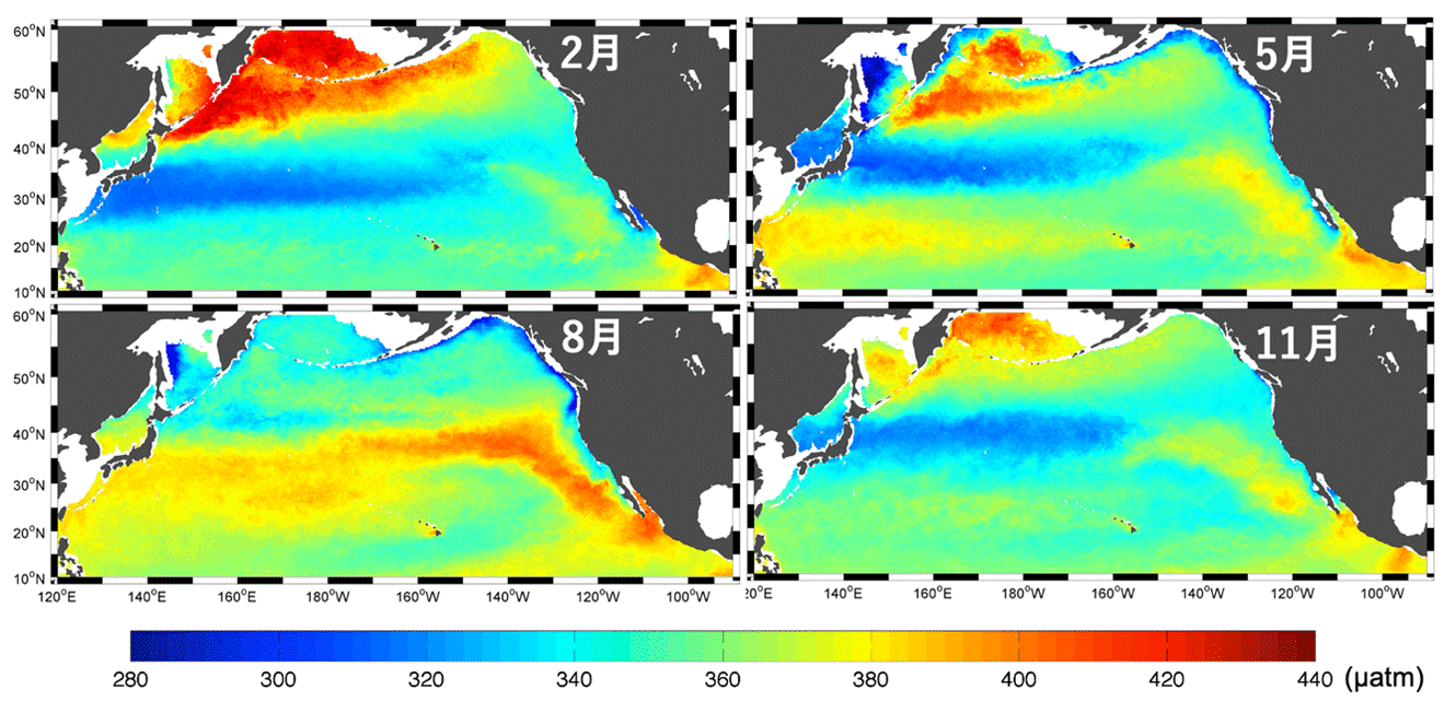 Seasonal changes in the partial pressure of CO2 in the ocean surface in the North Pacific Ocean.